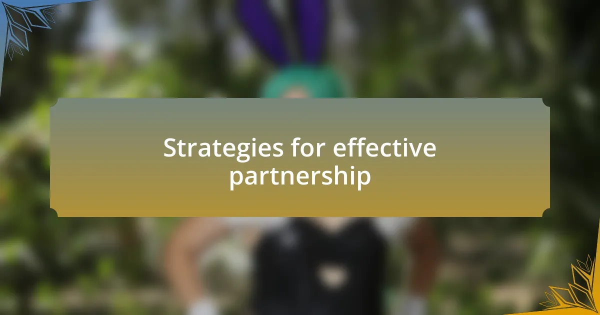 Strategies for effective partnership